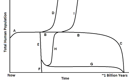 Adaptation Recovery Time Series